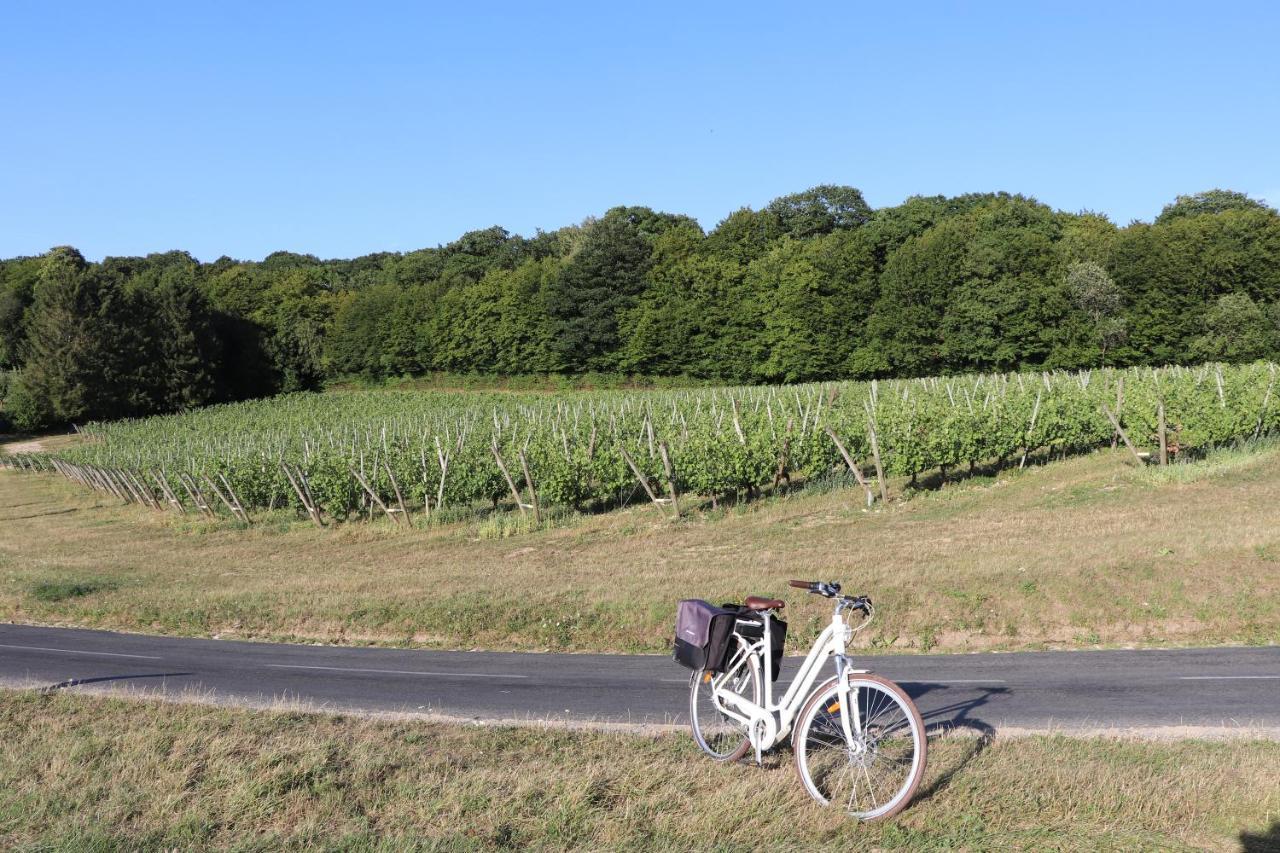 Terres Jaunes Avenay-Val-d'Or Esterno foto