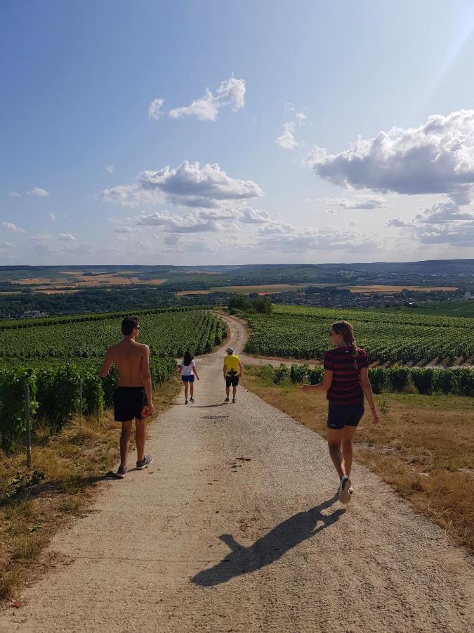 Terres Jaunes Avenay-Val-d'Or Esterno foto