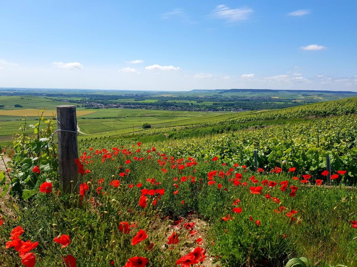 Terres Jaunes Avenay-Val-d'Or Esterno foto